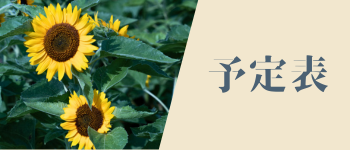 予定表
